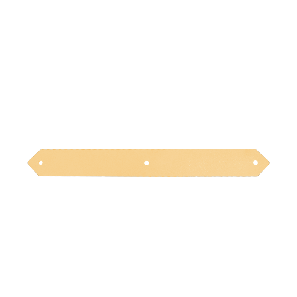 1035 Standard Strap Hinge Back Plate